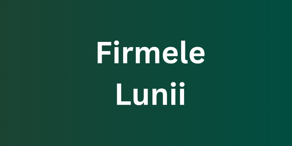 29.713 firme nou înființate în România