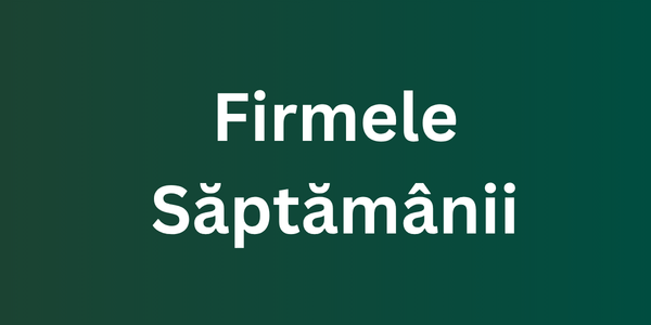 3.798 firme noi înființate în România în săptămâna 33 din 2026, adică 10/08/2026 până în 16/08/2026